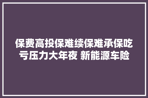 保费高投保难续保难承保吃亏压力大年夜 新能源车险谁解千般愁