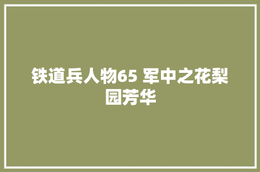 铁道兵人物65 军中之花梨园芳华