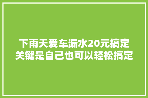 下雨天爱车漏水20元搞定关键是自己也可以轻松搞定