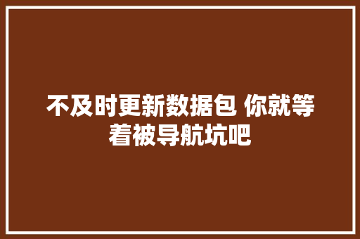 不及时更新数据包 你就等着被导航坑吧