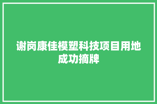 谢岗康佳模塑科技项目用地成功摘牌