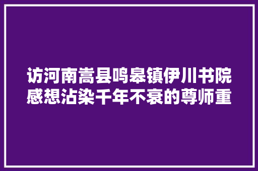 访河南嵩县鸣皋镇伊川书院感想沾染千年不衰的尊师重教之风｜郑周友