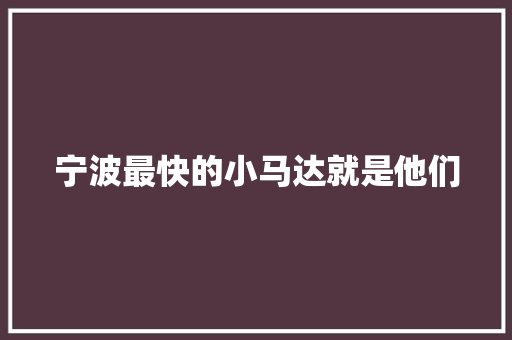 宁波最快的小马达就是他们