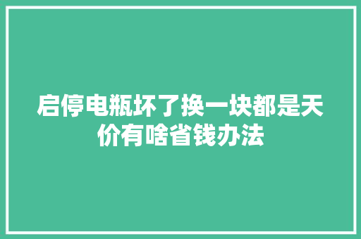 启停电瓶坏了换一块都是天价有啥省钱办法