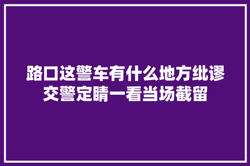 路口这警车有什么地方纰谬交警定睛一看当场截留