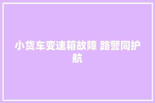 小货车变速箱故障 路警同护航