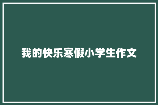 我的快乐寒假小学生作文