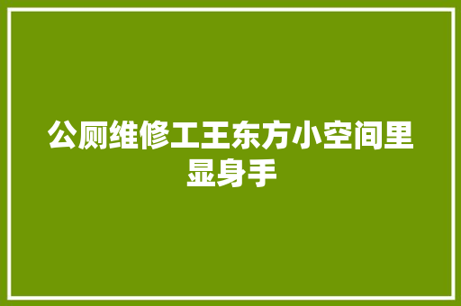 公厕维修工王东方小空间里显身手