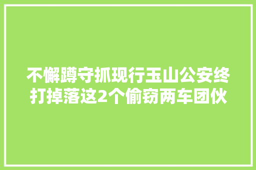 不懈蹲守抓现行玉山公安终打掉落这2个偷窃两车团伙破案31起