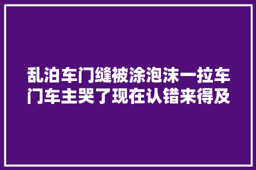 乱泊车门缝被涂泡沫一拉车门车主哭了现在认错来得及吗