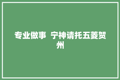 专业做事  宁神请托五菱贺州