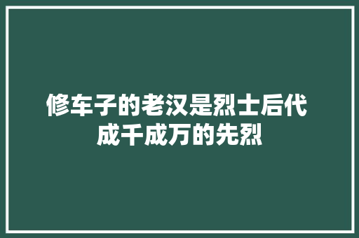 修车子的老汉是烈士后代 成千成万的先烈 汽车知识