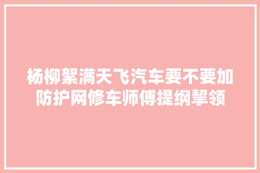 杨柳絮满天飞汽车要不要加防护网修车师傅提纲挈领