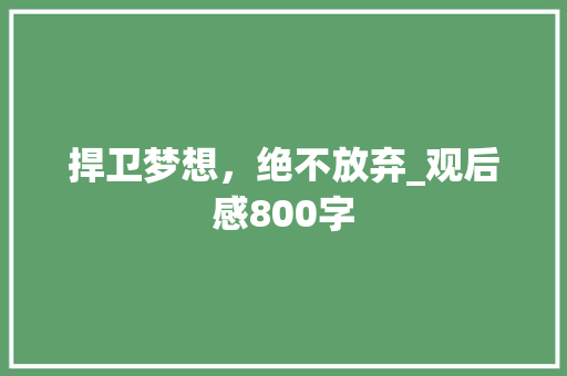 捍卫梦想，绝不放弃_观后感800字