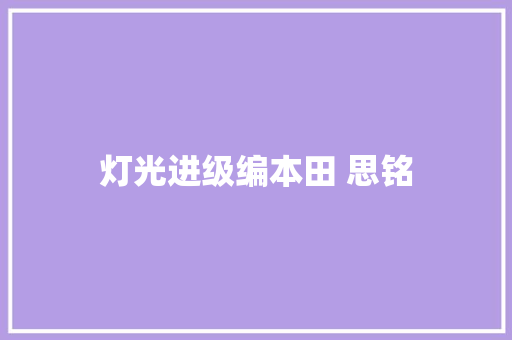 灯光进级编本田 思铭