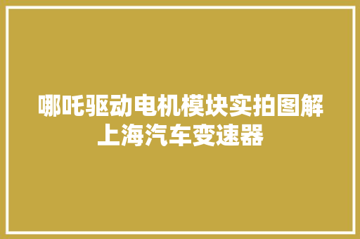 哪吒驱动电机模块实拍图解上海汽车变速器