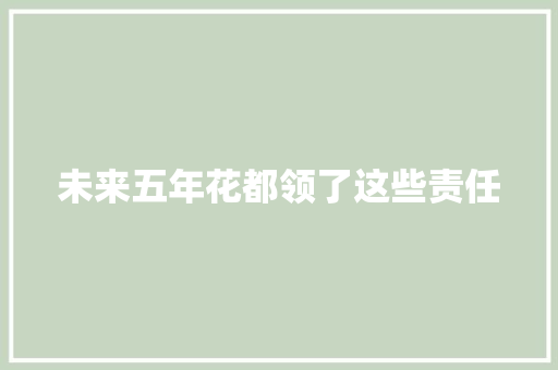 未来五年花都领了这些责任