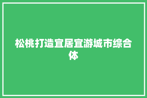 松桃打造宜居宜游城市综合体