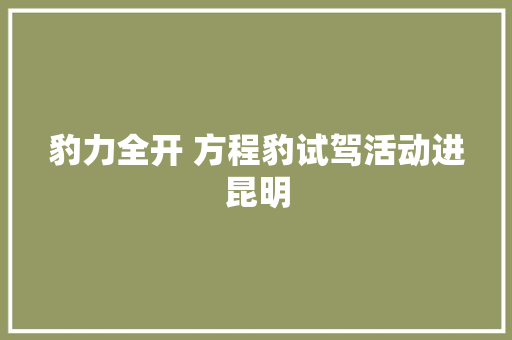 豹力全开 方程豹试驾活动进昆明