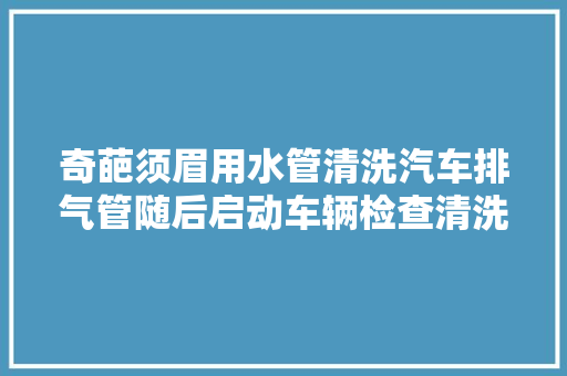 奇葩须眉用水管清洗汽车排气管随后启动车辆检查清洗成果