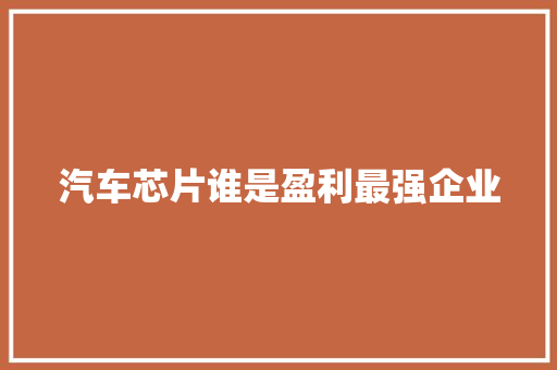汽车芯片谁是盈利最强企业