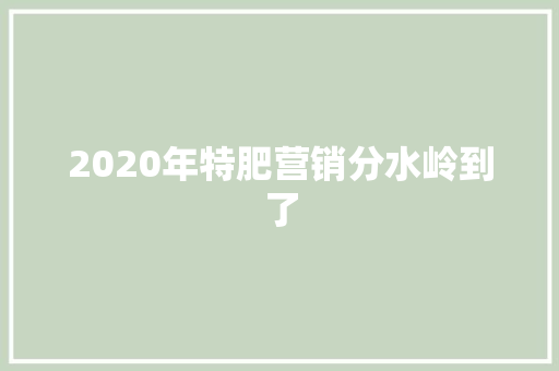 2020年特肥营销分水岭到了