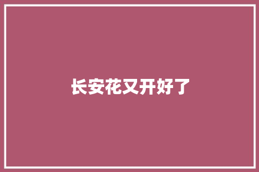 长安花又开好了