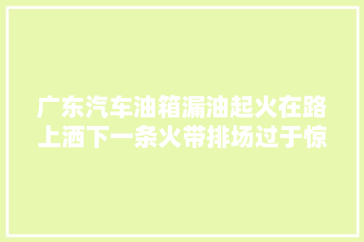 广东汽车油箱漏油起火在路上洒下一条火带排场过于惊险