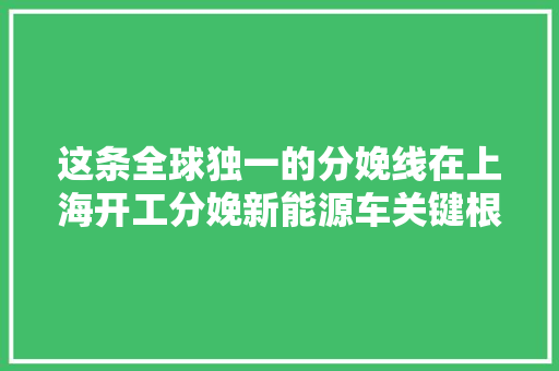 这条全球独一的分娩线在上海开工分娩新能源车关键根本材料