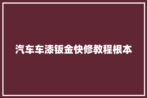 汽车车漆钣金快修教程根本