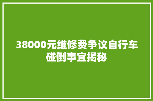 38000元维修费争议自行车碰倒事宜揭秘