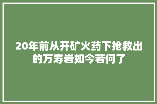 20年前从开矿火药下抢救出的万寿岩如今若何了