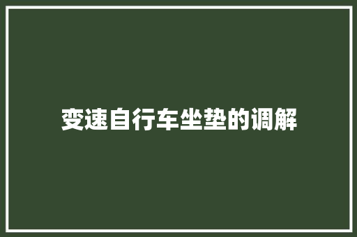 变速自行车坐垫的调解