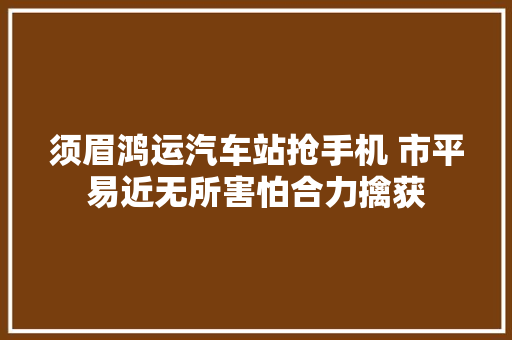 须眉鸿运汽车站抢手机 市平易近无所害怕合力擒获