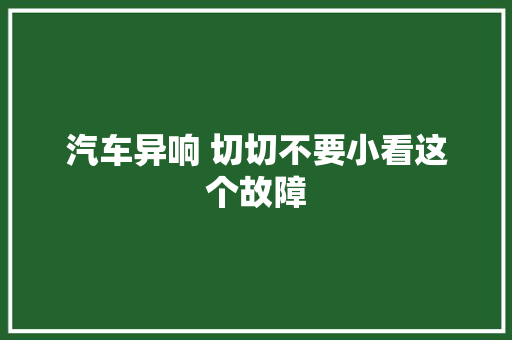 汽车异响 切切不要小看这个故障