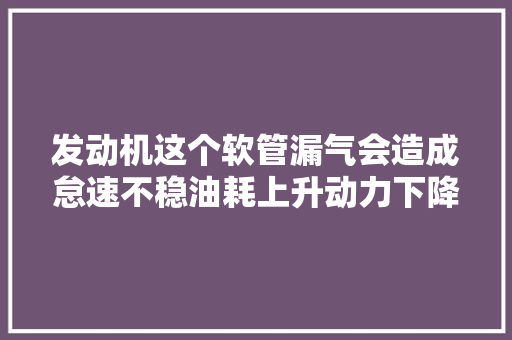 发动机这个软管漏气会造成怠速不稳油耗上升动力下降等等