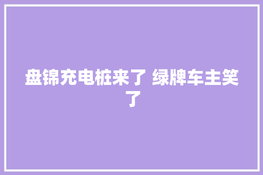 盘锦充电桩来了 绿牌车主笑了