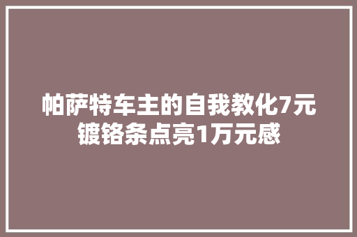 帕萨特车主的自我教化7元镀铬条点亮1万元感