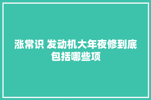 涨常识 发动机大年夜修到底包括哪些项
