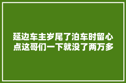 延边车主岁尾了泊车时留心点这哥们一下就没了两万多