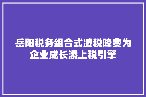 岳阳税务组合式减税降费为企业成长添上税引擎