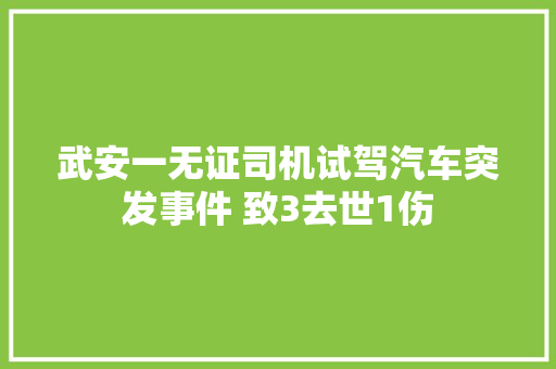武安一无证司机试驾汽车突发事件 致3去世1伤
