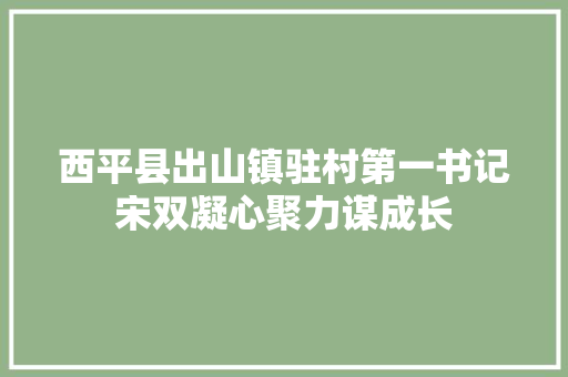 西平县出山镇驻村第一书记宋双凝心聚力谋成长