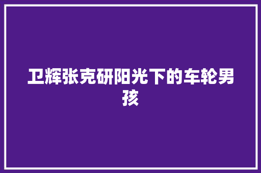 卫辉张克研阳光下的车轮男孩