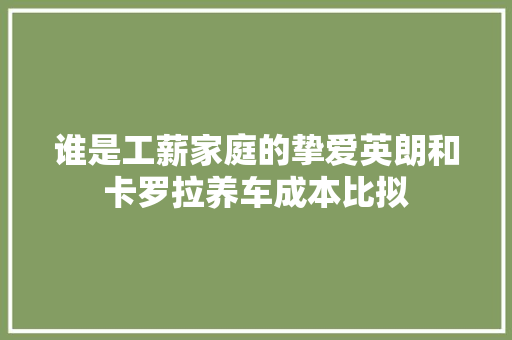 谁是工薪家庭的挚爱英朗和卡罗拉养车成本比拟