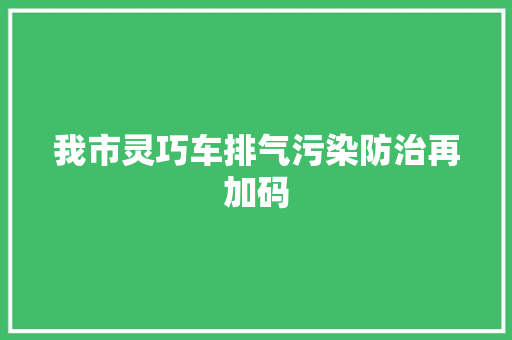 我市灵巧车排气污染防治再加码