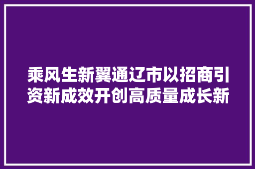 乘风生新翼通辽市以招商引资新成效开创高质量成长新局面