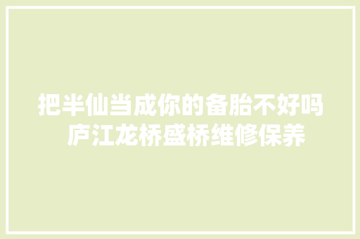 把半仙当成你的备胎不好吗  庐江龙桥盛桥维修保养