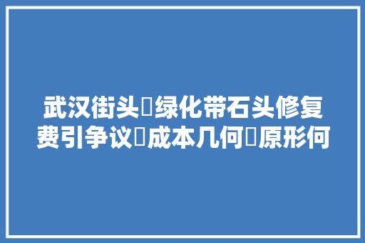 武汉街头‌绿化带石头修复费引争议⁠成本几何​原形何在⁢ 汽车知识