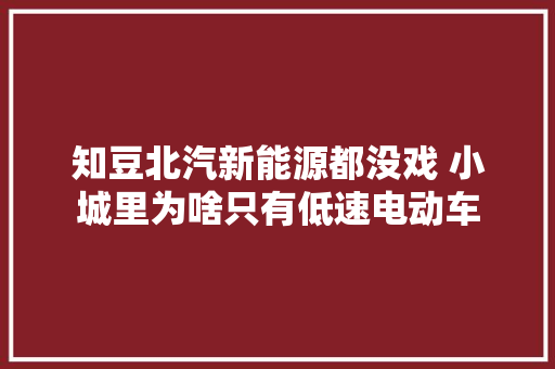 知豆北汽新能源都没戏 小城里为啥只有低速电动车